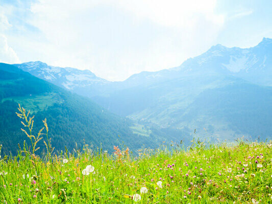 Unberührte Berglandschaft auf der Alm mit Gräsern Umweltschutz und Recycling ist bei PREFA wichtig