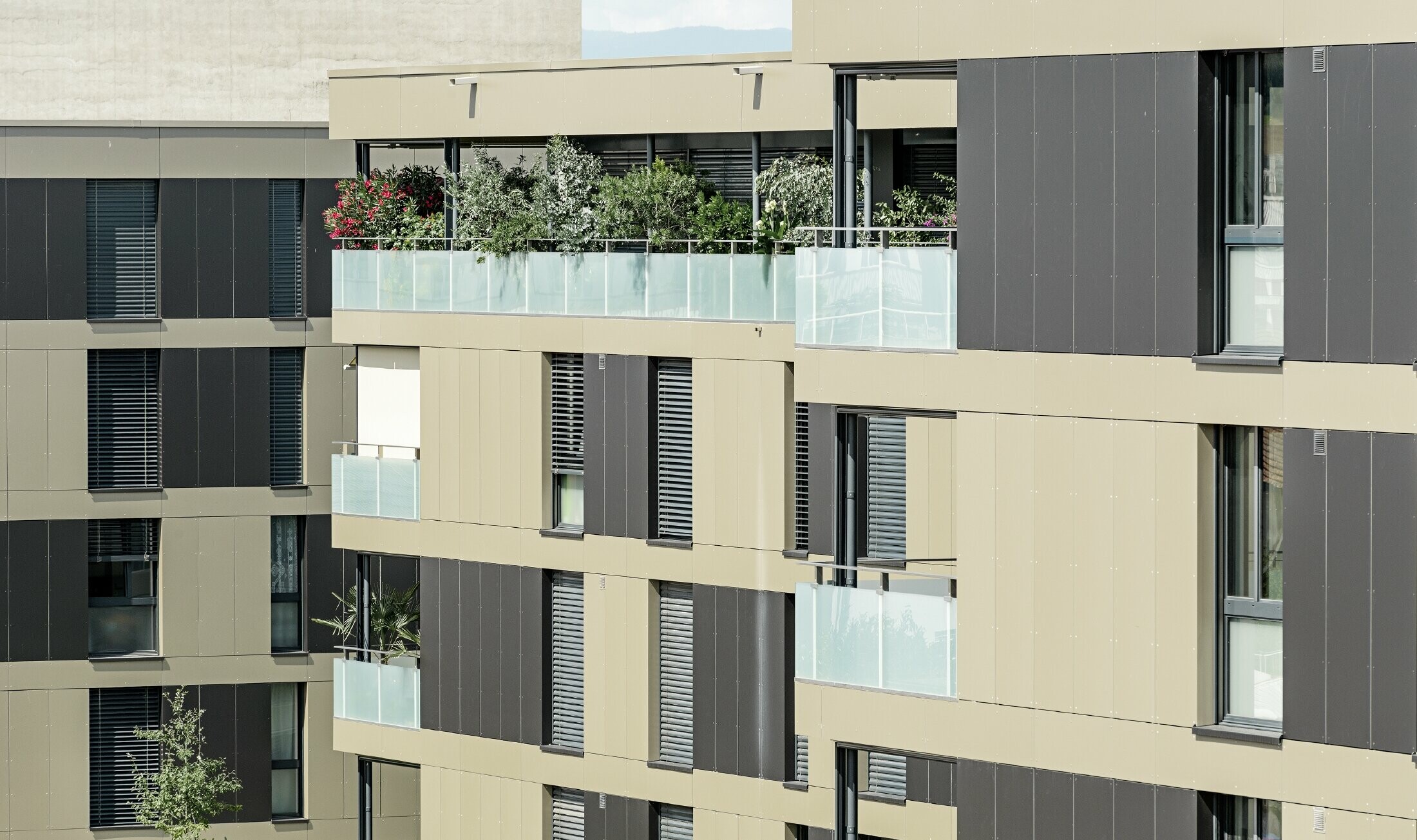 Kockast stanovanjski kompleks z aluminijasto fasado v bronasti barvi in črno-zelenimi elementi