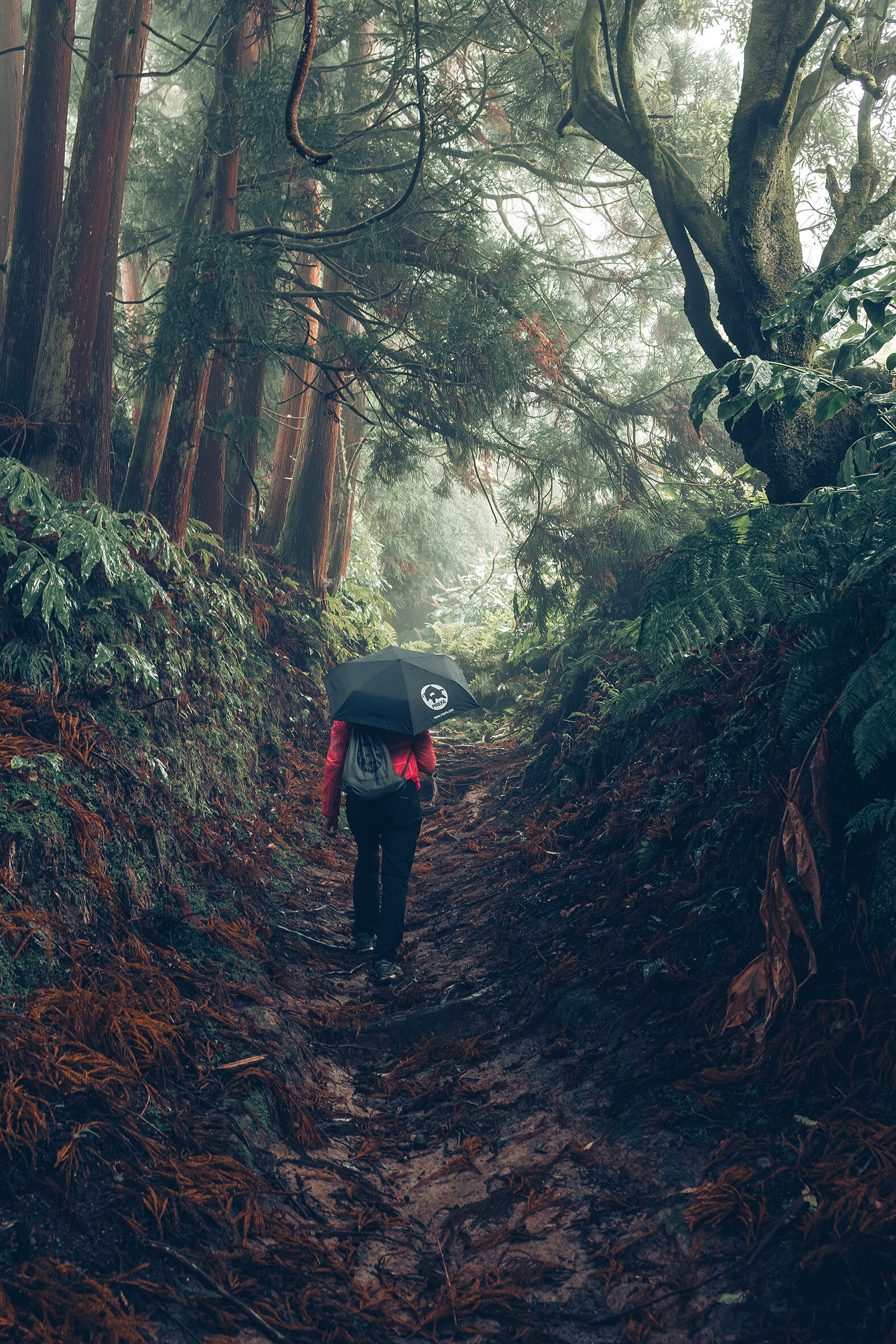 Fotografija v gozdu s pohodnico v rdeči jakni z dežnikom PREFA in torbo, simbolizira varovanje okolja in trajnost podjetja PREFA ter krožno gospodarstvo in recikliranje